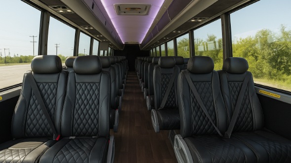 schaumburg 28 passenger minibus